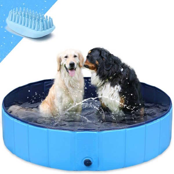 piscina para perros españoles